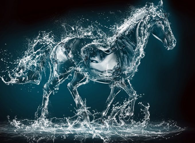 Wallpaper Horse, water, transparent, 10K, Art 311953206